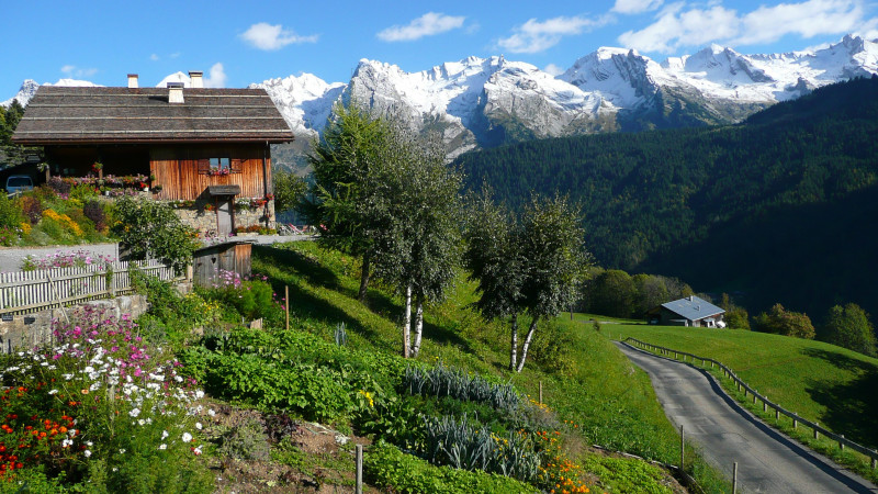 La chèvrerie Grand-Bornand l'été