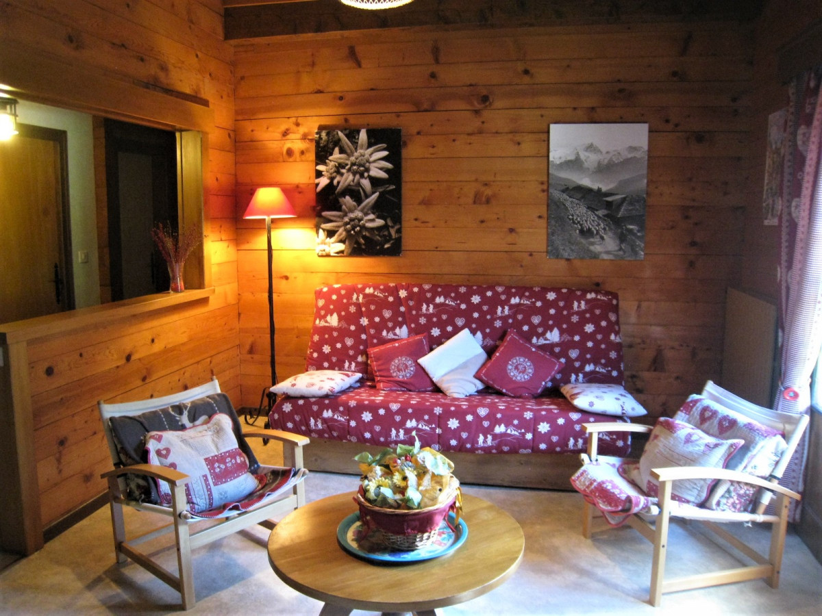 Séjour avec canapé/Living room with a sofa-Bris'orage-Le Grand-Bornand