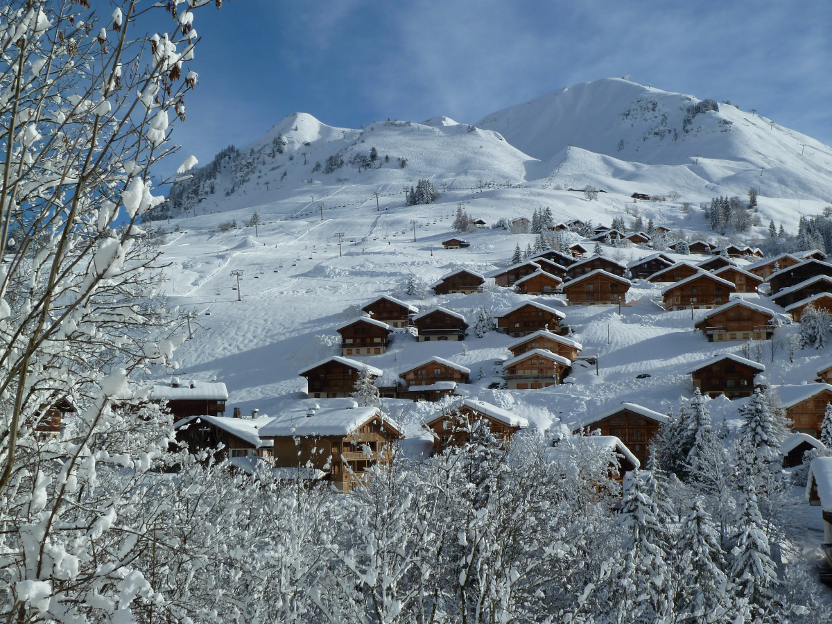 le chinaillon