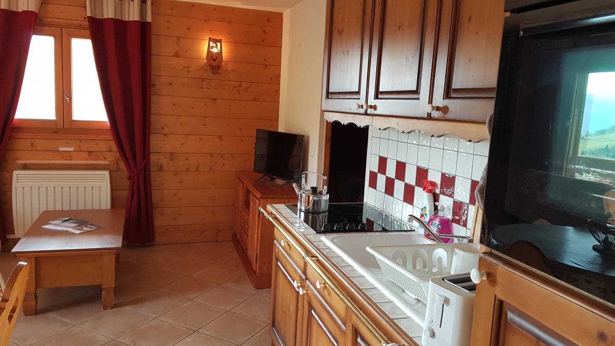 le grand bornand location 3 pieces 4 personnes village de lessy