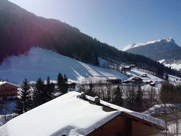 location appartement 2 pieces carlines le grand bornand village