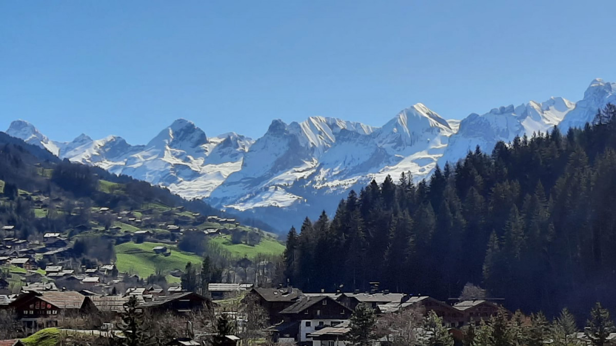 location appartement studio bellachat le grand bornand village