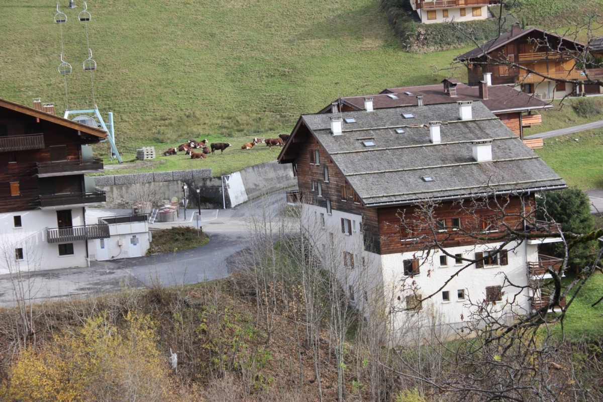 location piste rouge A studio 4 personne le chinaillon le grand bornand