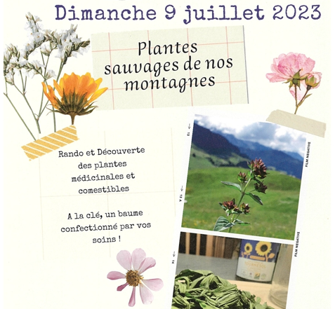 plantessauvages-bureaudesguides-grandbornand-1289146