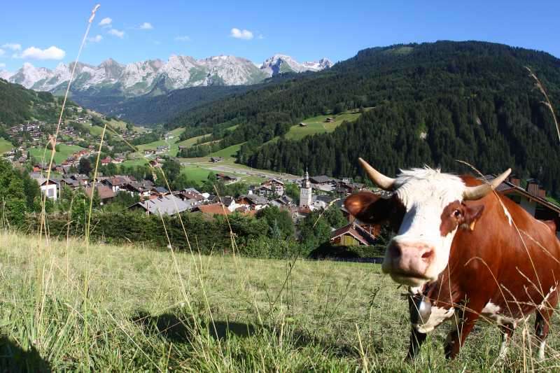 gouter-a-la-ferme-grand-bornand-haute-savoie-