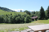 Jardin été/Summer garden-Fleur des Alpes n°5-Le Grand-Bornand