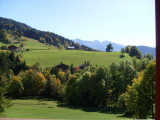 Fleurs des Alpes