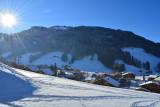 Vue depuis l'appartement hiver/View from the apartment winter-Dodes-Le Grand-Bornand