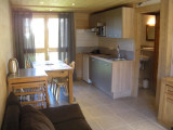 Séjour et cuisine/Living room and kitchen-Petit Chalet-Le Grand-Bornand