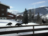 Vue hiver