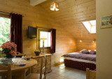 Séjour avec lit double et télévision, salle à manger/Living room with a double bed and a television, dining room-Bel Alp n°29-Le Grand-Bornand
