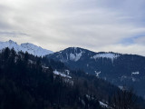 Vue