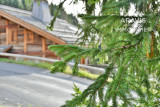 _clients_227445001_photos_209ba_3829648